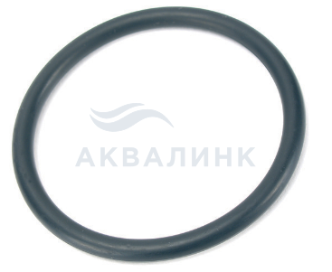 Кольцо уплотнительное для корпуса фильтра Гейзер-1Г 23413